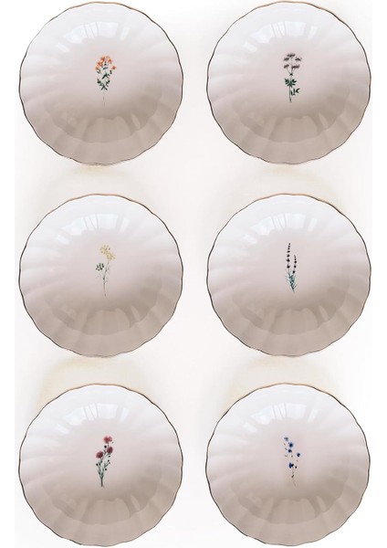 Tiny 6 Parça 15 cm Kase