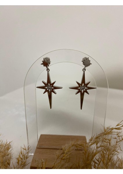 Şimal Yıldızı Xupıng Çelik Küpe fiyatları