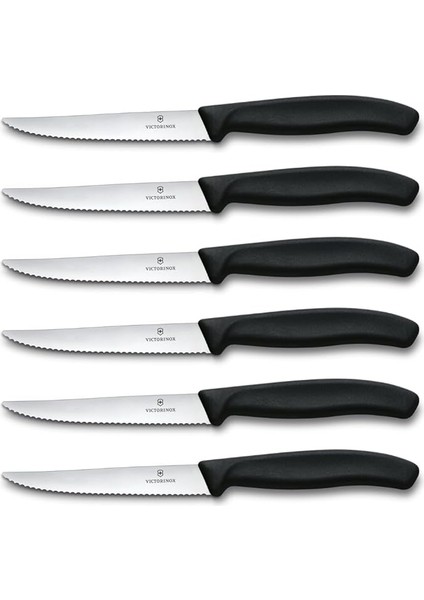 6.7233.6 Mutfak 6'lı Steak-Biftek Bıçağı (Blisterli)