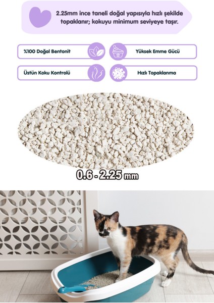 Lavanta Kokulu Bentonit Topaklaşan Kokusuz Kedi Kumu 10LT x 2 Adet fiyatları