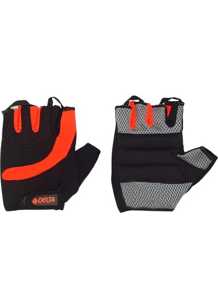 Lotus Fitness Eldiveni