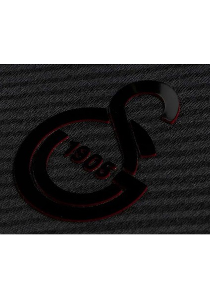 S.k. Özel Forma 25/26 Limited Edition Forma 4. Forma 5 Yıldızlı Erkek Forması indirimleri