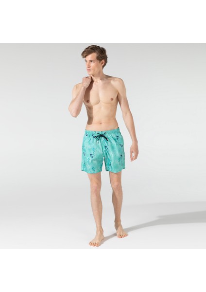 Erkek Yeşil Mayo Şort