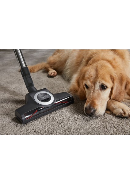 Blizzard CX1 Cat&Dog Mango Kırmızı - Toz Torbasız Süpürge