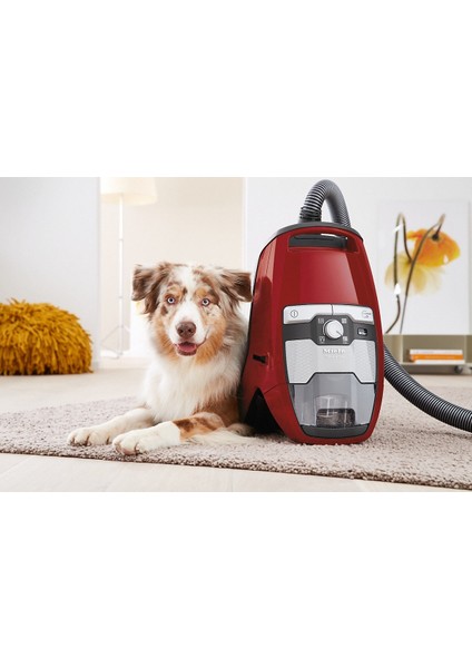 Blizzard CX1 Cat&Dog Mango Kırmızı - Toz Torbasız Süpürge