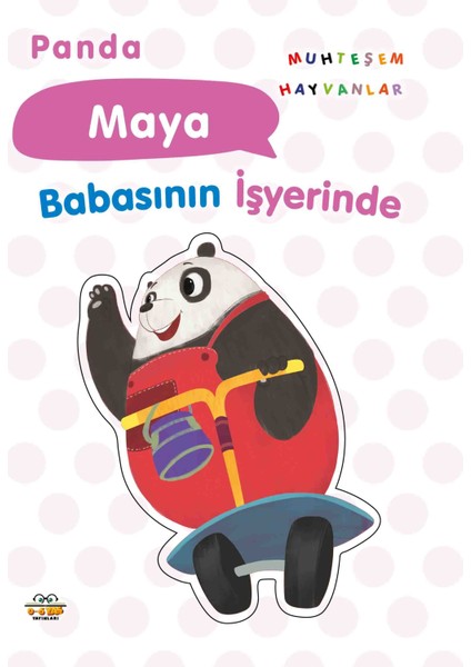 Panda Maya Babasının Işyerinde