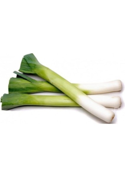 Inegöl Pırasa Tohumu 100 Adet Tohum fiyatları