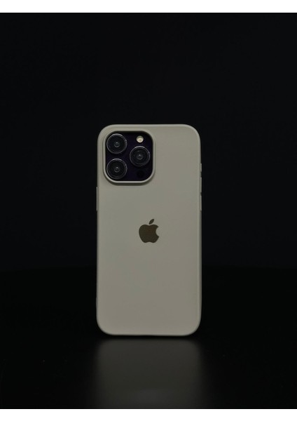 iPhone 11 Uyumlu Renkli Logo Içi Kadife Lüks Lansman Kılıf