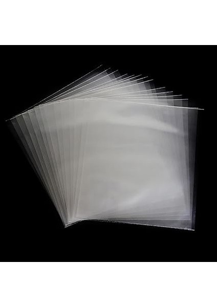 Sesler Lp (12") Plak Koruma Naylonu 33X33 cm (25 Adet) fırsatları