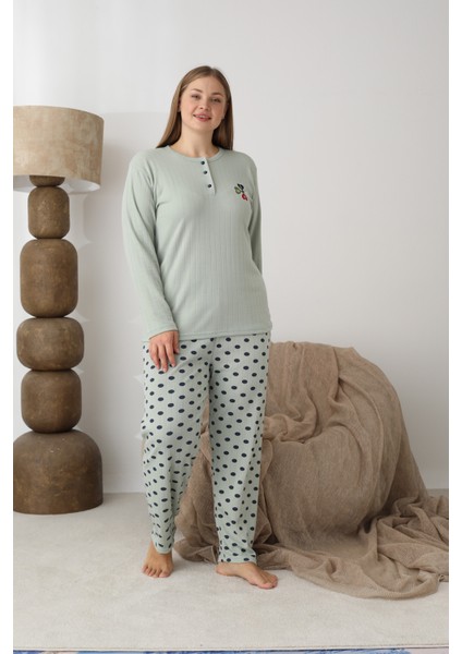 Şardonlu Interlok Kumaş Büyük Beden Kışlık Kadın Pijama Takımı 1160 fırsatları