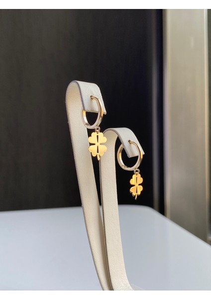 14 Ayar Altın Sallantılı Kalp Küpe fiyatları