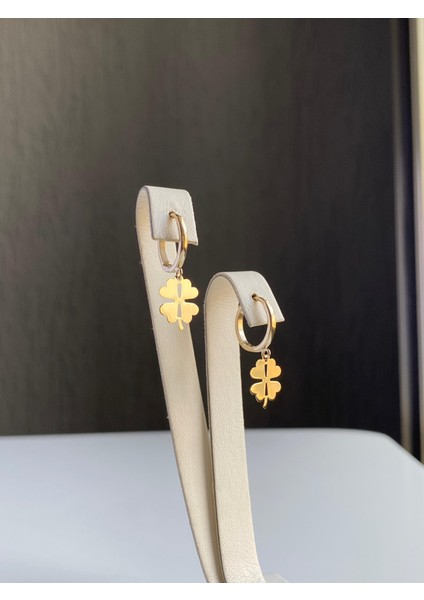 14 Ayar Altın Sallantılı Kalp Küpe fırsatları