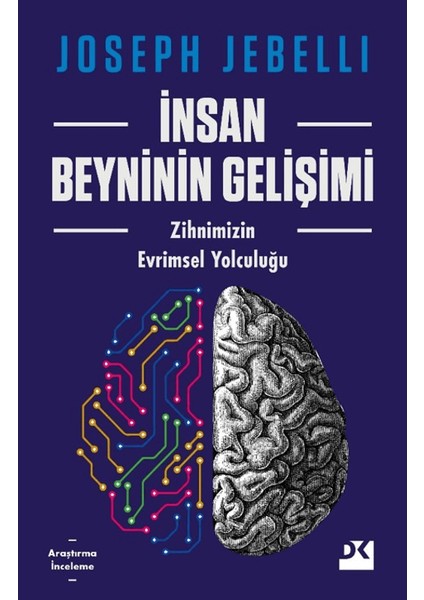 Insan Beyninin Gelişimi