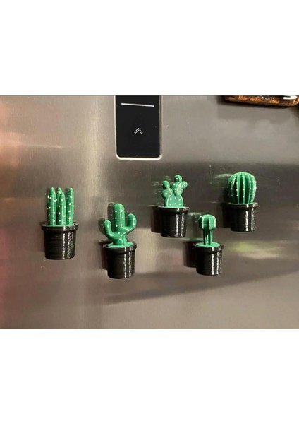 Kaktüs Magnet Seti