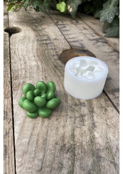 Concept Sukulent Mum Kalıbı (Silikon)