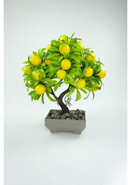 Dekor Ağaç Limon Ağacı Saksılı Dekoratif Ağaç Biblo 24X13 cm
