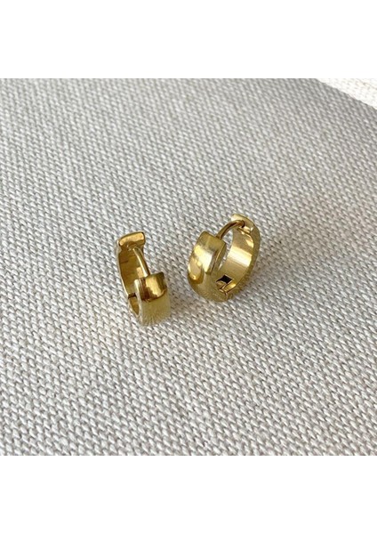 Taşlı Gold Halka Çelik Küpe Kombin modelleri