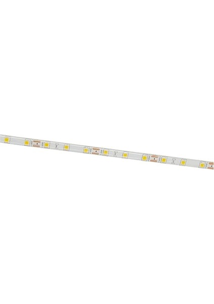 CT-4492 10ç Dış Mekan Amber LED Şerit, 5m fırsatları