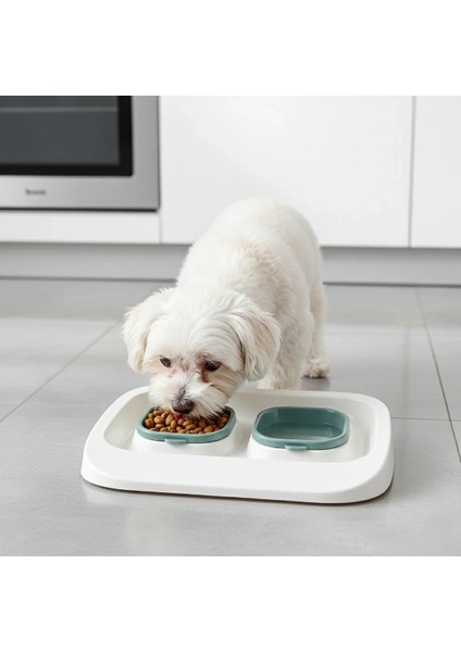 Buğz Mikopet Yeşil 2'si 1 Arada Mama ve Su Kabı modelleri