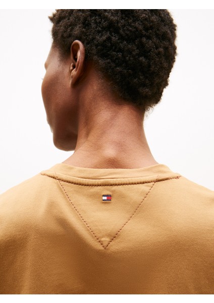 Tonal Flag Reg C-Nk Ss Tee Kadın Kahverengi T-Shirt - WW0WW45626 fırsatları