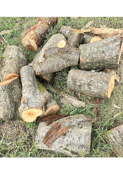 kg Şömine Odunu modelleri