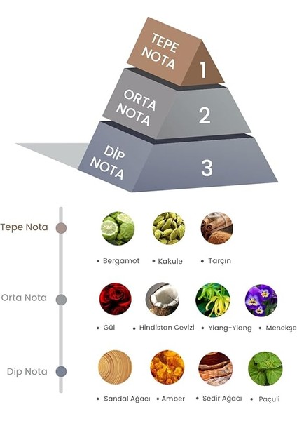 Bambu Çubuklu Oda Kokusu Amber Dark 100ML modelleri