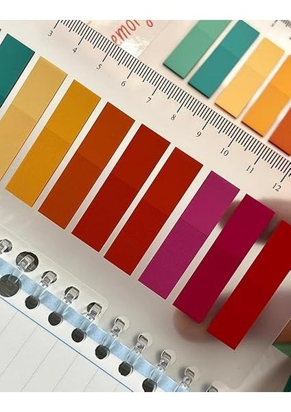 Gemi Dükkan 10 Renkli Cetvelli Memory Şeffaf Pet Indeks/ındex Sticker/sticky Note/post-It fırsatları