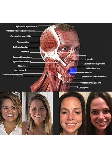 Çene Çizgisi Güçlendirici Egzersiz Topu Çene Çizgisi Fitness Topu Geniş Çene Kas Antrenmanı Malzemeleri modelleri