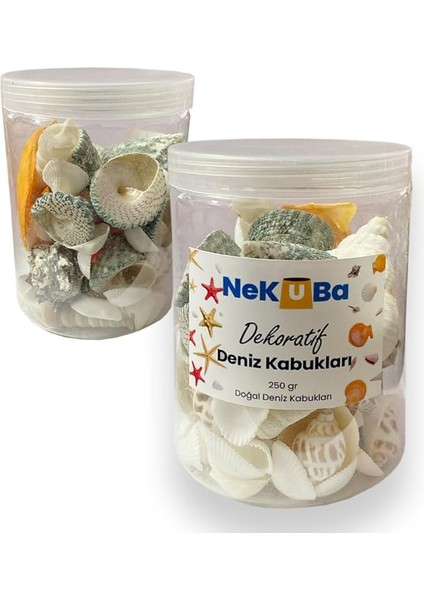 Akvaryum, Teraryum,saksı, Süsleme Için Karışık Dekoratif Doğal Deniz Kabukları, 250GR