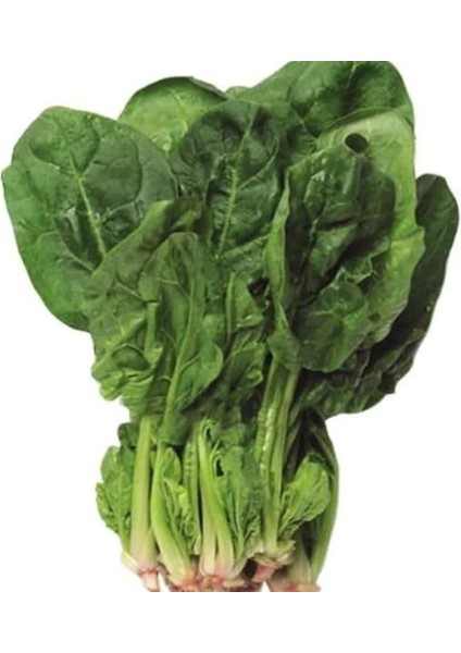 Matador (Çoklu Tohum) - 10 Gram