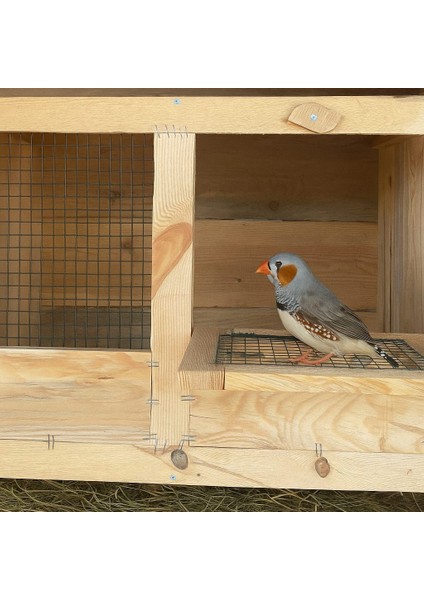 Karayiğit Doğal Ahşap Kuş Yuvası Kafes Çeşitleri Güvercin Kümesi