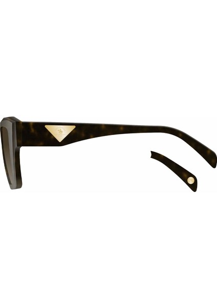 SB1105COL02 Kadın Güneş Gözlüğü fiyatları