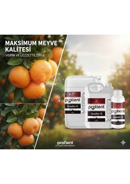 Protıent Qualıty K – %25 Potasyum (K₂o) – Meyve Renklenmesini ve Kalitesini Artıran Sıvı Gübre | 1 Litre | Profesyonel Tarım Için Kalite Artırıcı fiyatları