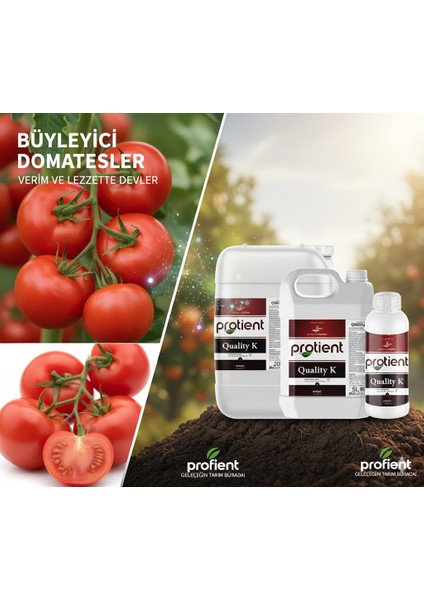 Protıent Qualıty K – %25 Potasyum (K₂o) – Meyve Renklenmesini ve Kalitesini Artıran Sıvı Gübre | 1 Litre | Profesyonel Tarım Için Kalite Artırıcı modelleri