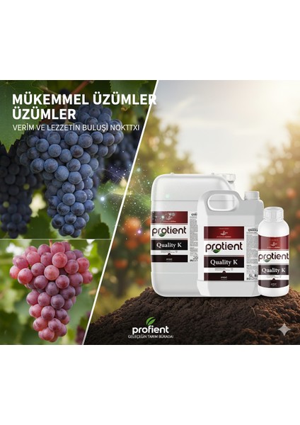 Protıent Qualıty K – %25 Potasyum (K₂o) – Meyve Renklenmesini ve Kalitesini Artıran Sıvı Gübre | 1 Litre | Profesyonel Tarım Için Kalite Artırıcı fırsatları