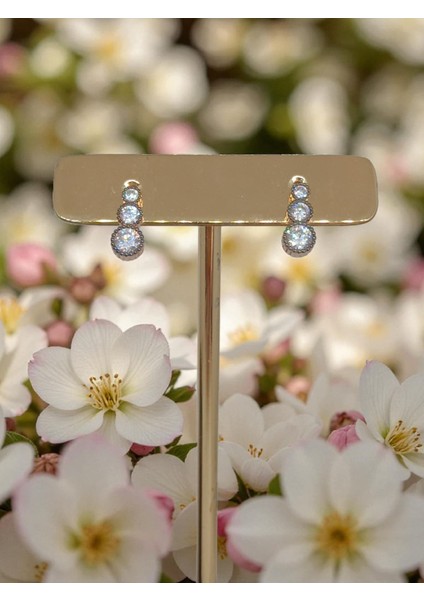 Elmas Montür 925 Ayar Bakır Rengi 4 Parça Gümüş Takı Seti (Kolye, Küpe, Yüzük, Bileklik) indirimleri