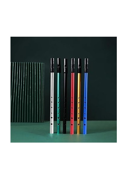 Düdük Flüt Irlanda Düdük C Anahtarı, 6 Delikli Teneke Düdük, Yeni Başlayanlar, Ara Ürünler ve Uzmanlar Için Flüt Penny Düdük, Rüzgar Müzik Aleti, Hafif, Taşınabilir modelleri