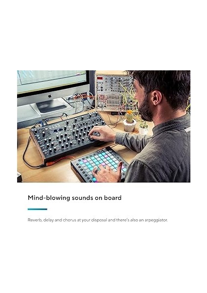 Peak 8 Sesli Polifonik Desktop Synthesizer: Her Ses Için 2 Lfo, 16 Yuvalı Modülasyon Matrisi, 3 Analog Distorsiyon Noktası, Dijital Efektler indirimleri