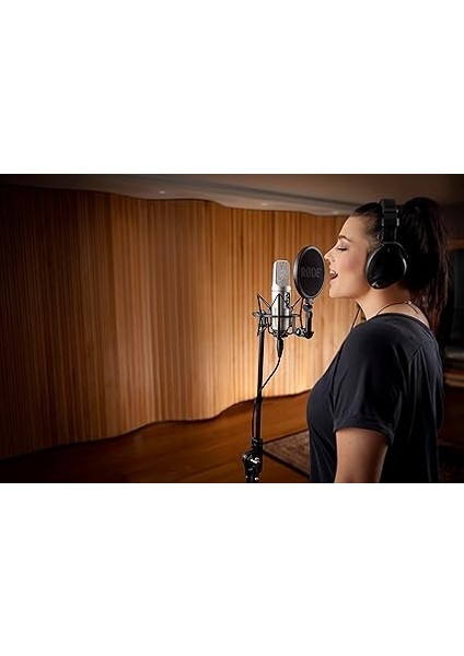 Nt2-A, Multi Pattern Kondenser Mikrofon modelleri