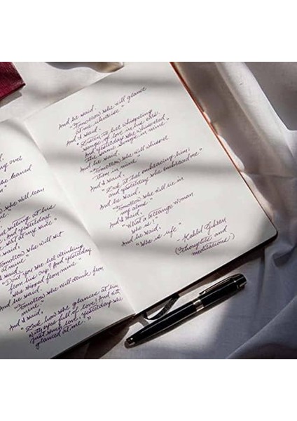 9325-1 300 Serisi Roller Parlak Siyah modelleri