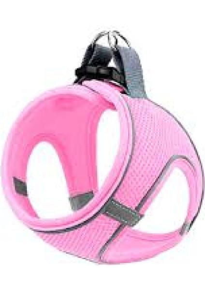 Göğüs Tasması File Karışık Renkli L