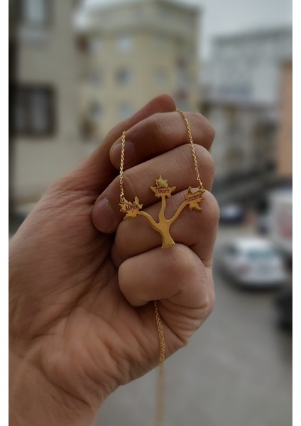 925 Ayar Gümüş 24 Ayar Altın Kaplama 3 Isimli Çınar Yapraklı Kolye