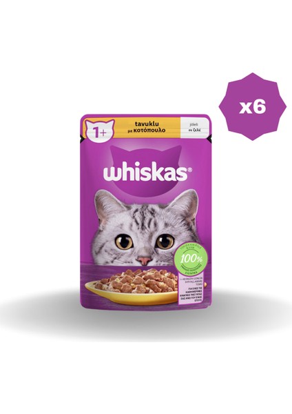 Yaş Mama Poşet Tavuklu 85 gr - (6 Adet)