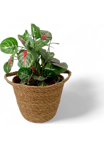 El Yapımı Çift Kulplu Hasır Saksılık | Iç Koruma Poşetli, Doğal ve Dekoratif Çift Kulplu Saksı | Bitkileriniz Için Rustik Tasarım (17CM) - Deconox El Yapımı Çift Kulplu Iç Koruma Poşetli.