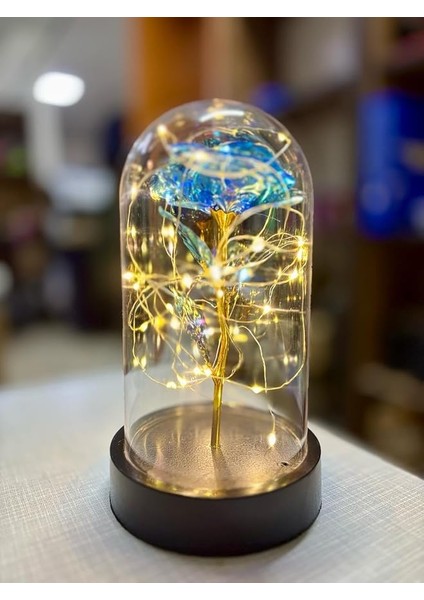 Işıklı Dekoratif Gece Lambası – Şık ve Modern Tasarım, Ev ve Ofis Için Mükemmel Atmosfer Aydınlatması (Mavi)