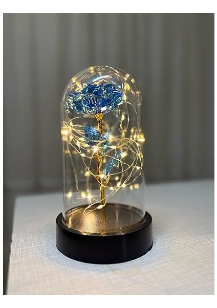 Işıklı Dekoratif Gece Lambası – Şık ve Modern Tasarım, Ev ve Ofis Için Mükemmel Atmosfer Aydınlatması (Mavi) fiyatları