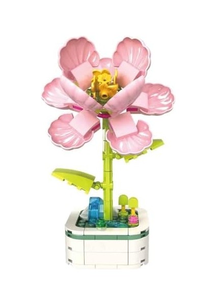 Ebegümeci 8809 fiyatları