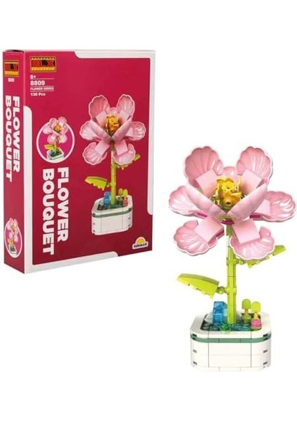 Ebegümeci 8809 modelleri