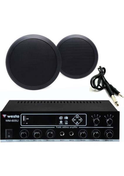 2’li Siyah Tavan Hoparlörlü 100V Anfi Ses Sistemi | Kafe Mağaza Ofis Müzik Seti