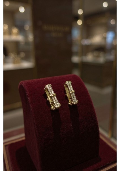 Elegant Zirkon Taşlı Gold Vip Küpe